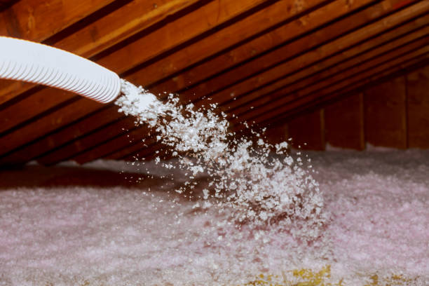 Best Residential Insulation in Kahaluu Keauhou, HI