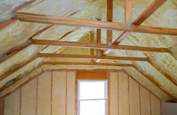 Best Insulation Installation Services in Kahaluu Keauhou, HI